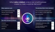 How to Use Voice Assistants For Your Business